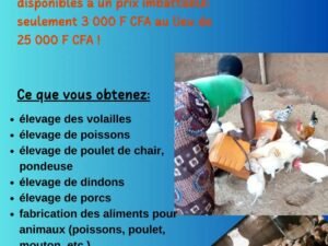 Dévenez un expert en production animale