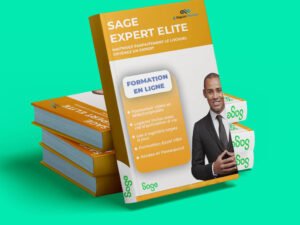 sage expert comptabilite