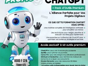 Accès à la formation ChatGPT et son premium avec 40 d’autres premium