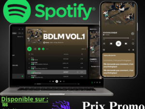 Spotify Premium à Vie