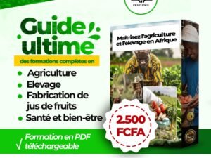 FORMATION AGROBUSINESS