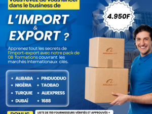 Master Pack Import-Export : Devenez un Pro des Marchés Internationaux
