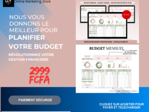 PLANIFICATEUR BUDGETAIRE