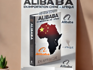 FORMATION COMPLETE ALIBABA : Devenez expert en importation CHINE – AFRIQUE