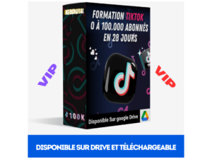 Formation Tiktok VIP 0 à 100.000 abonnés en 28 jours