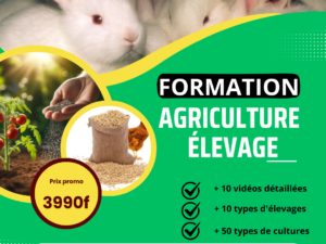 Formation agriculture et élevage