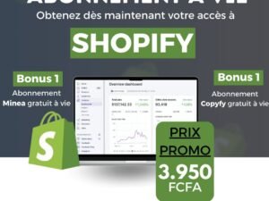 ABONNEMENT SHOPIFY A VIE