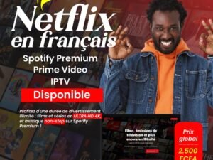Netflix , Prime Vidéo, IPTV, Spotify (2500f)