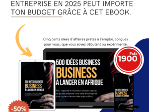 500 idées business à lancer en Afrique