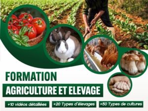 FORMATION AGRICOLE / ELEVAGE