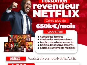 FORMATION REVENDEUR NETFLIX
