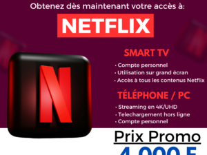 ABONNEMENT PREMIUM NETFLIX 1 AN