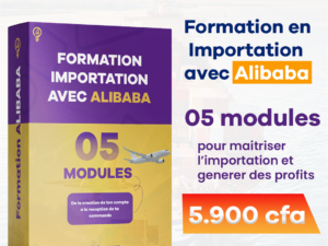 Formation Importation Alibaba : De Débutant à Expert en Achat et Revente