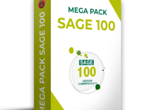 📌 Méga Pack Sage 100 – La Ressource Ultime pour Maîtriser le Logiciel de Gestion