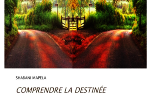 COMPRENDRE LA DESTINÉE.TOME 1