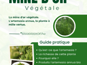 Mine d'or végétale