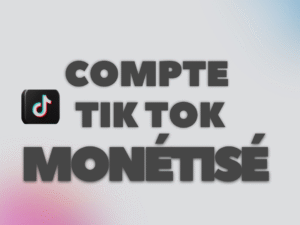 Compte tiktok monéisé