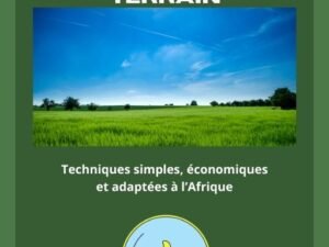 Gagner Plus avec un Petit Terrain